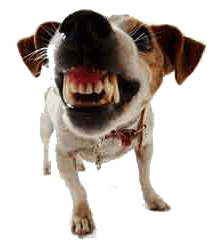 110 guarantee seal 200