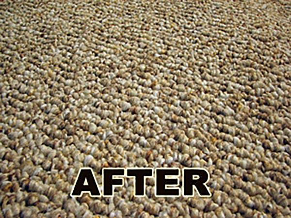carpet ripple restretching repair after